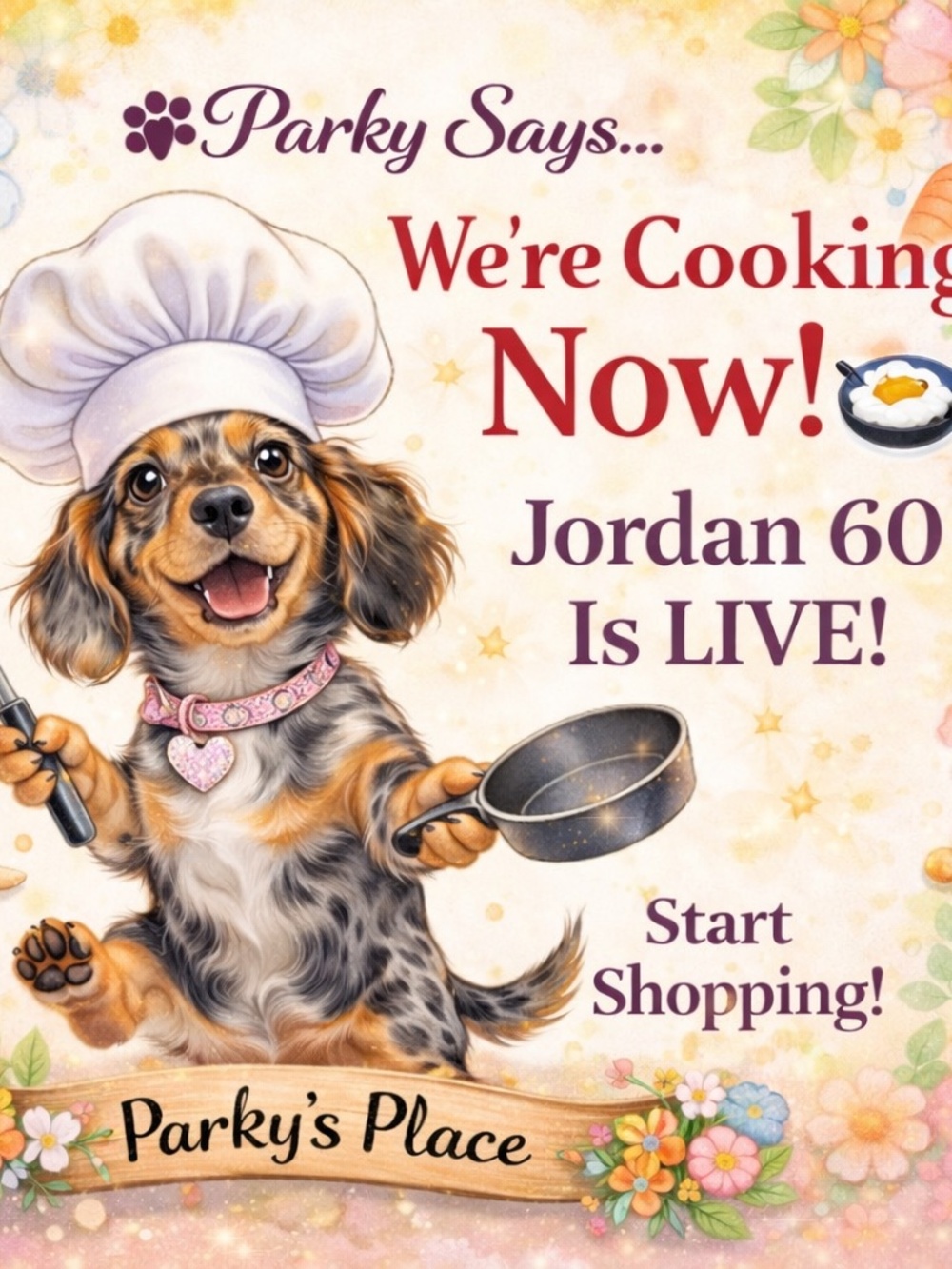 ✨ Jordan 60 — We’re Cooking with Parky 🐾🔥 LIVE NOW!